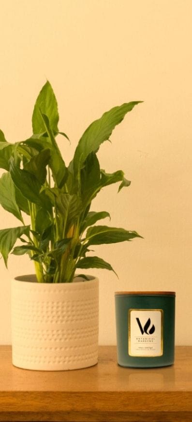 Botanical Gardens grid (1)